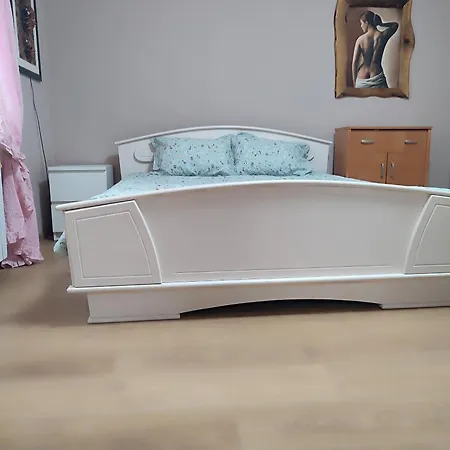 Beautiful, Relaxing In Downtown Appartement Kruševac